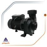 پمپ آب سه اسب نوید موتور مدل CS 300/3 - Image 2