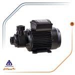 پمپ آب یک اسب محیطی نوید موتور مدل PM 80 - تصویر 2